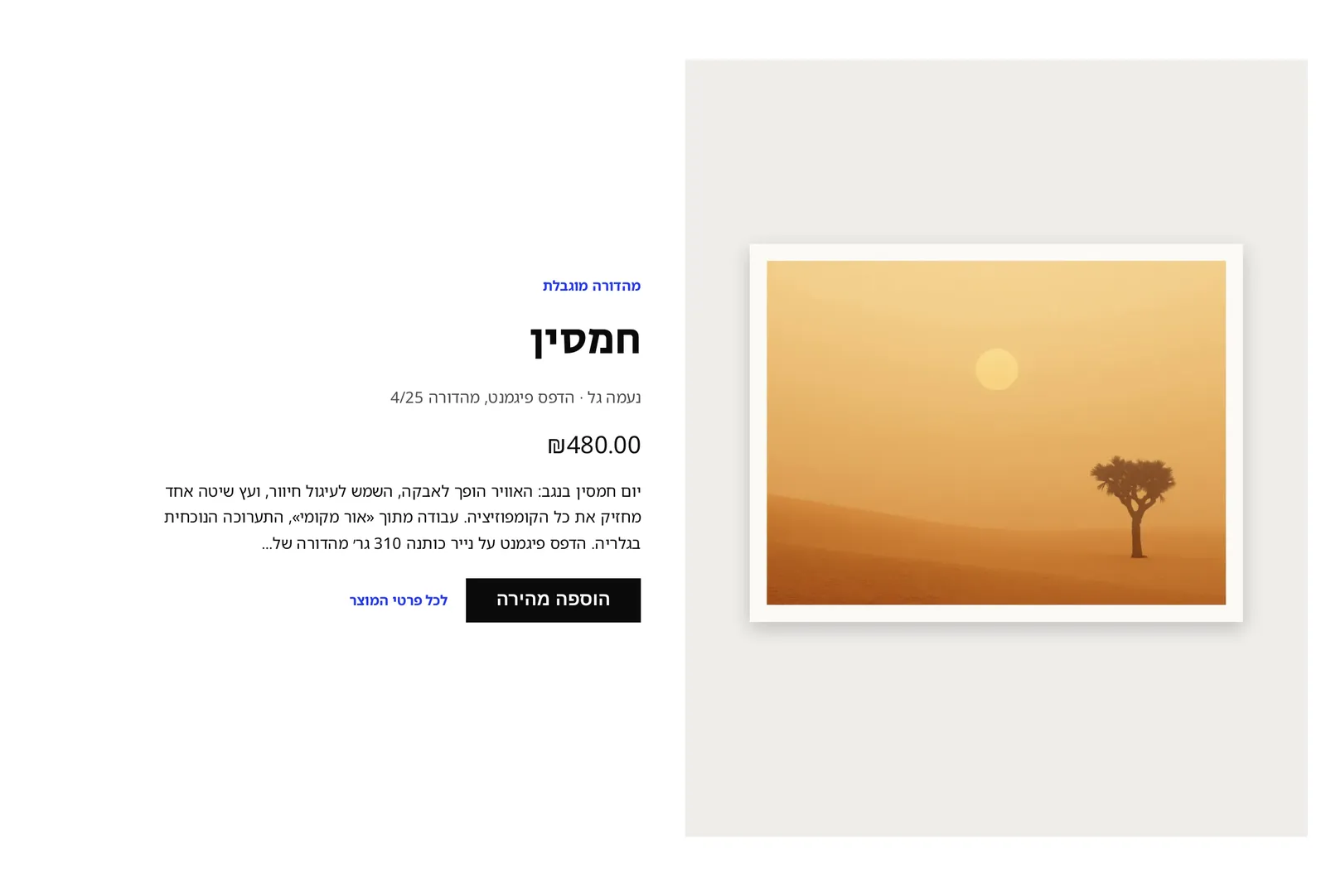 המקטע «מוצר מוצג» במחשב, בחנות הדמו גלריה־שבע