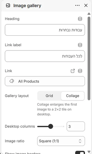 ההגדרות של «גלריית תמונות» בעורך, בממשק הניהול באנגלית