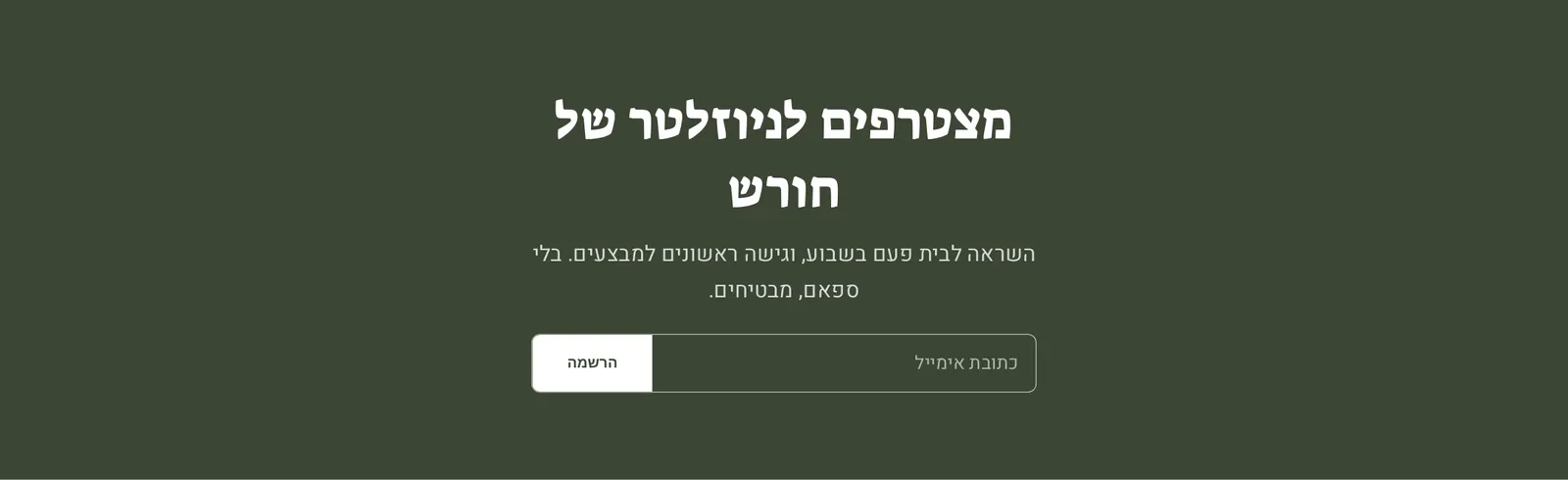 המקטע «הרשמה לניוזלטר» במחשב, בחנות הדמו חורש