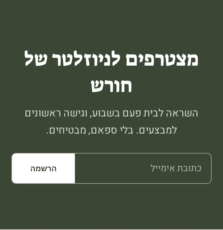 המקטע «הרשמה לניוזלטר» בטלפון, בחנות הדמו חורש