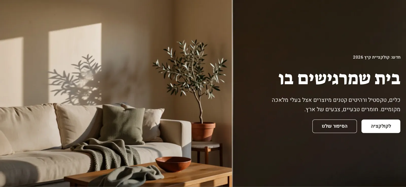המקטע «מצגת שקופיות» במחשב, בחנות הדמו חורש