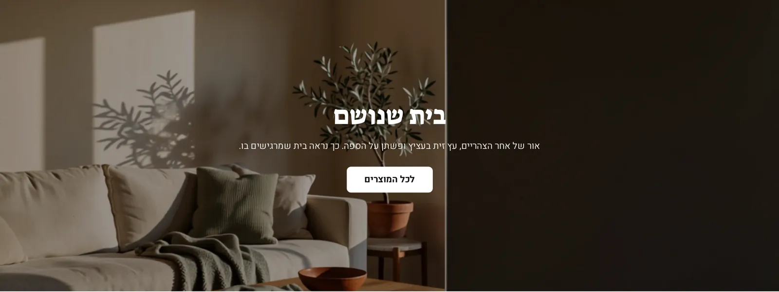 המקטע «וידאו» במחשב, בחנות הדמו חורש